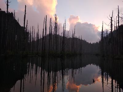 水漾森林兩天一夜 台中出發