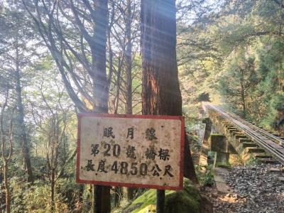10/10阿里山眠月線一日遊 已開團 歡迎報名~!!