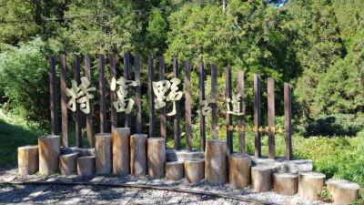 特富野古道+阿里山眠月線2日遊