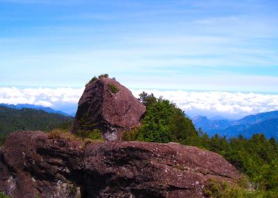 阿里山大塔山對高岳一日遊  