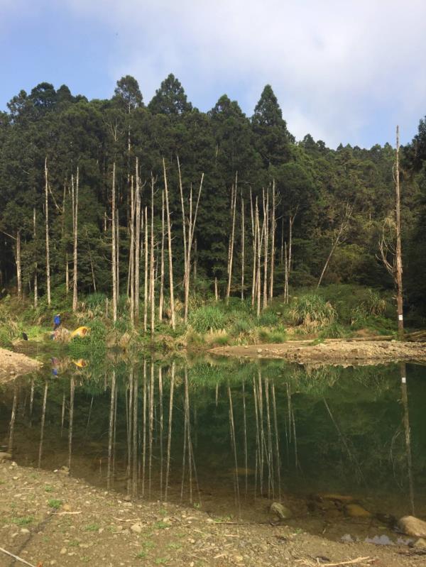 水漾森林兩天一夜 台中出發
