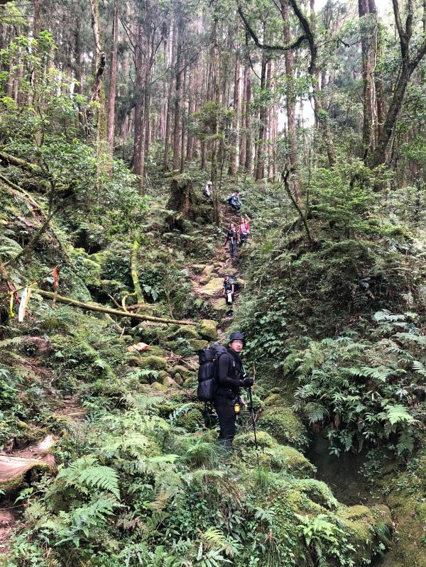 阿里山眠月線一日遊-嘉義出發
